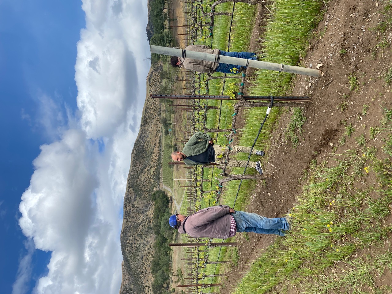 North Coast Winegrape Brokers meeting with growers in a vineyard